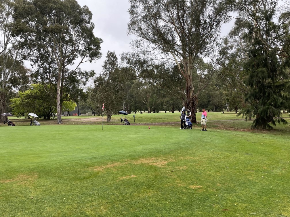 GWGC Photo Gallery